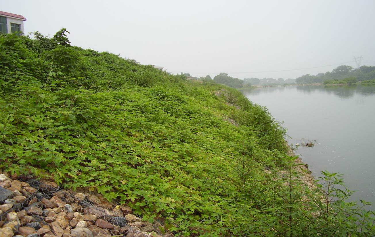 鍍鋅石籠網(wǎng)生態(tài)性和化學穩(wěn)定性的體現(xiàn) 鍍鋅石籠網(wǎng)生態(tài)性和化學穩(wěn)定性的體現(xiàn)